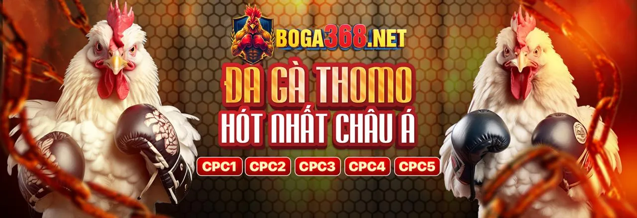 Đá gà trực tuyến BJ66 Link Mới 2026