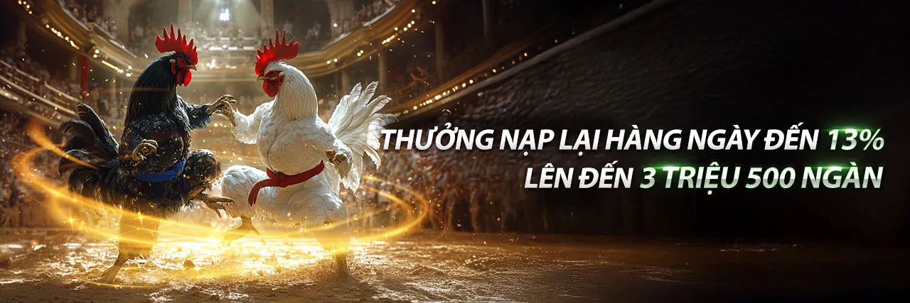 Hình ảnh chính blog BJ66 Link Mới