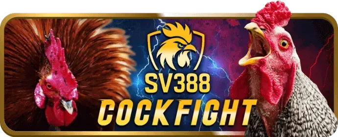 Hình ảnh liên hệ hỗ trợ khách hàng BJ66 Link Mới
